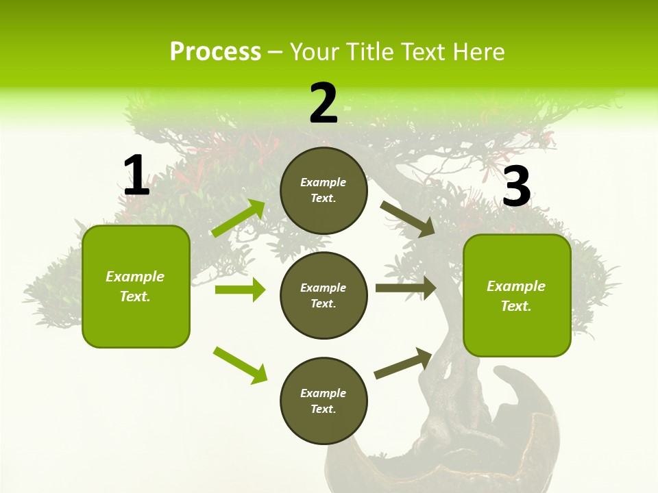 Bonsai Flower Release PowerPoint Template
