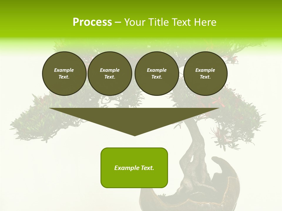 Bonsai Flower Release PowerPoint Template