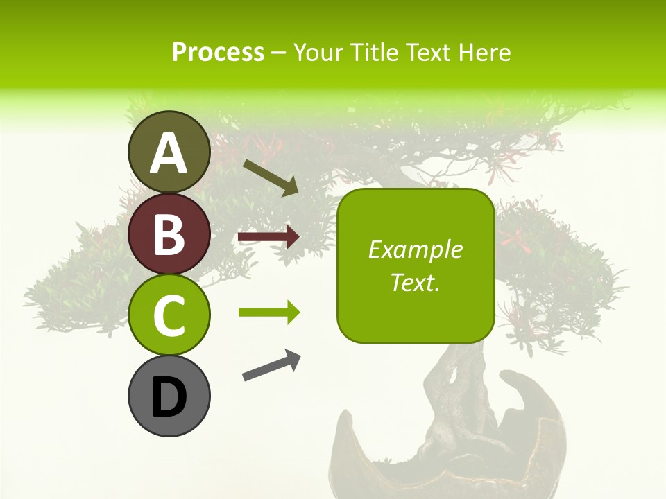 Bonsai Flower Release PowerPoint Template
