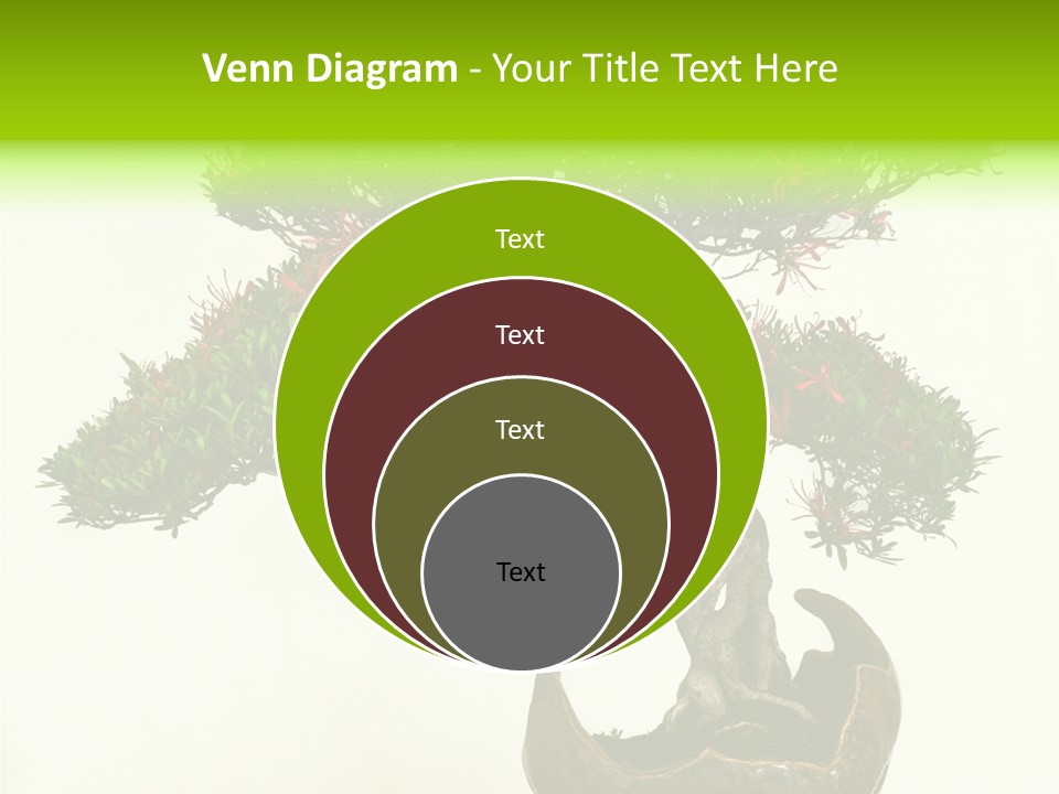 Bonsai Flower Release PowerPoint Template