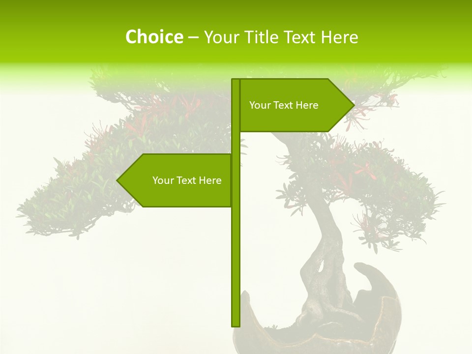 Bonsai Flower Release PowerPoint Template