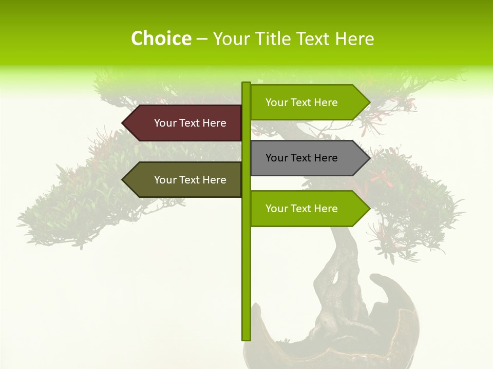 Bonsai Flower Release PowerPoint Template