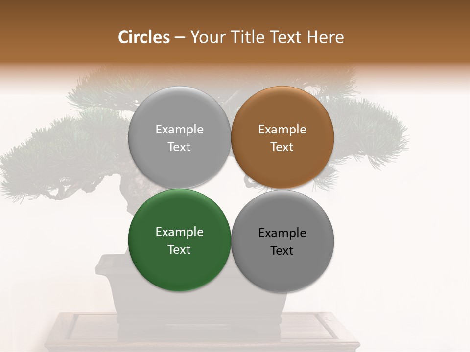 Bonsai Conifer Release PowerPoint Template