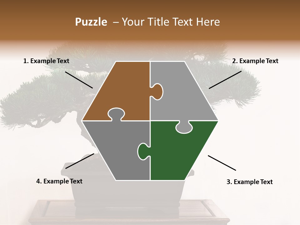 Bonsai Conifer Release PowerPoint Template