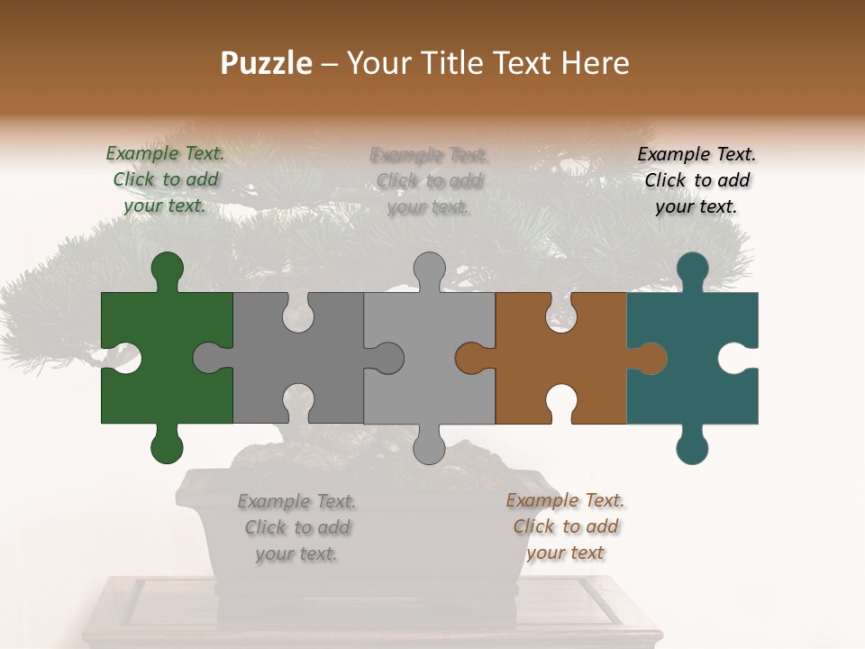 Bonsai Conifer Release PowerPoint Template
