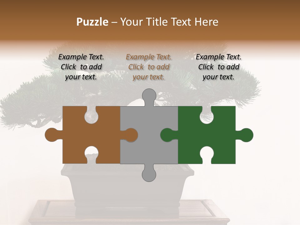 Bonsai Conifer Release PowerPoint Template