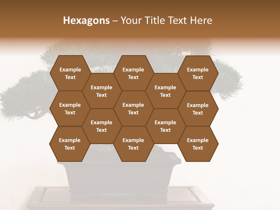 Bonsai Conifer Release PowerPoint Template