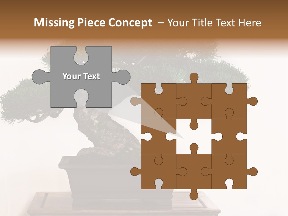 Bonsai Conifer Release PowerPoint Template