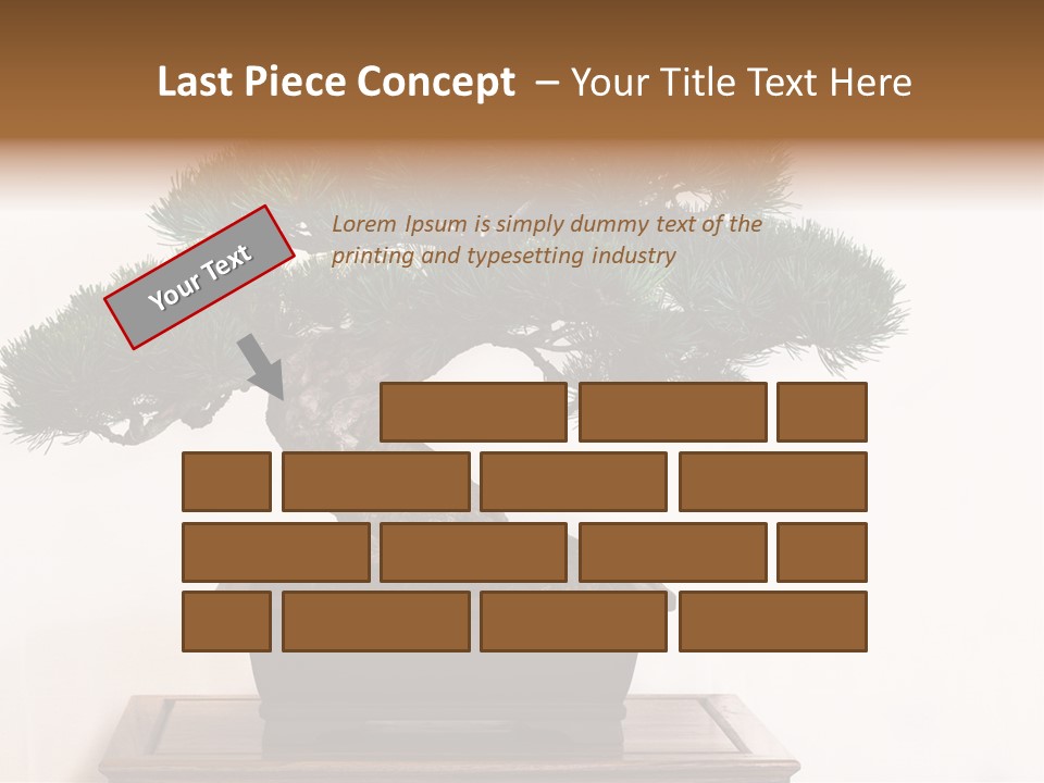 Bonsai Conifer Release PowerPoint Template