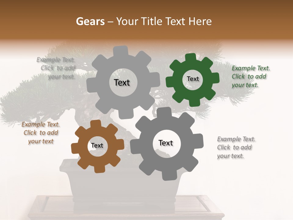 Bonsai Conifer Release PowerPoint Template