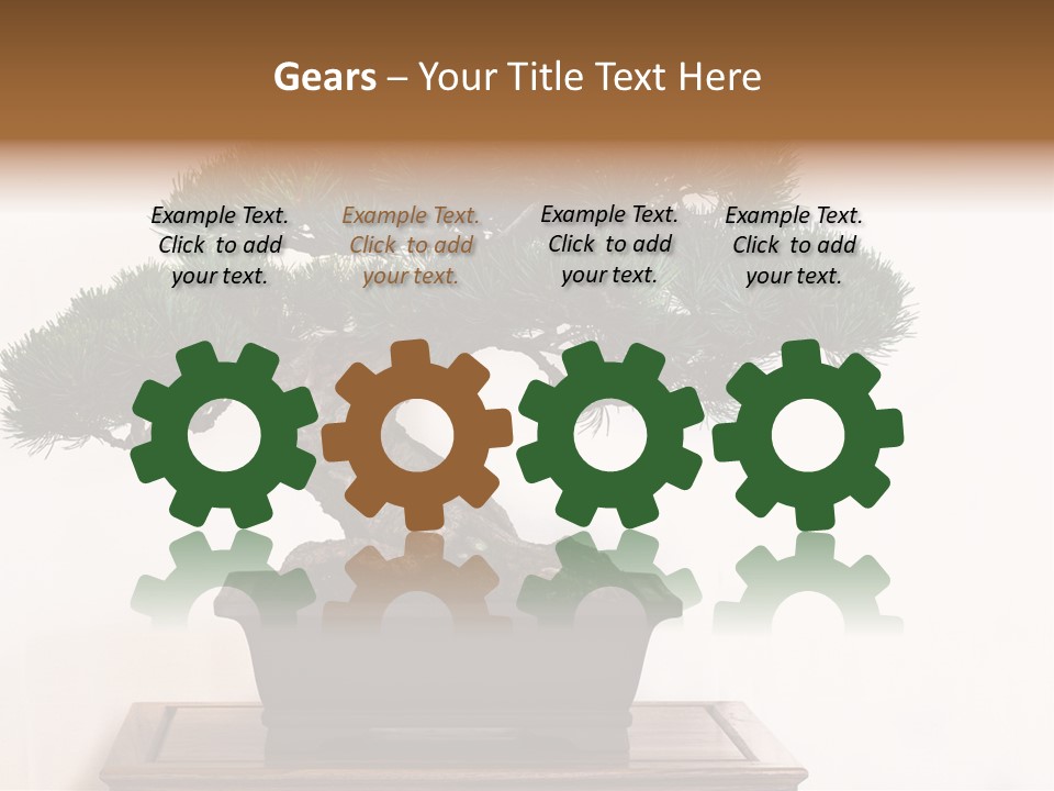 Bonsai Conifer Release PowerPoint Template