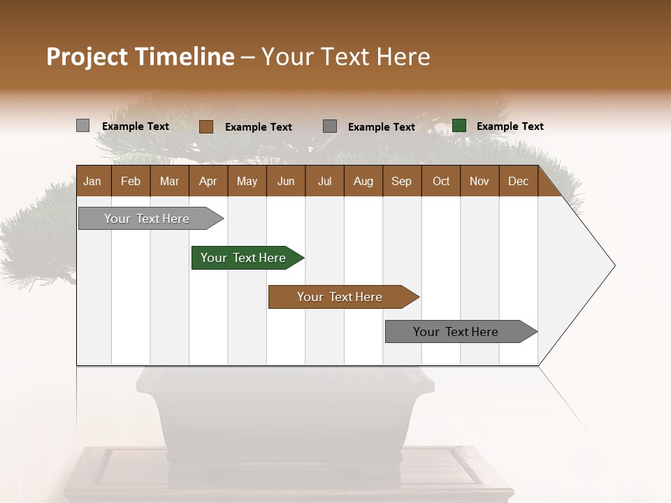 Bonsai Conifer Release PowerPoint Template
