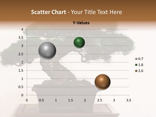 Bonsai Conifer Release PowerPoint Template