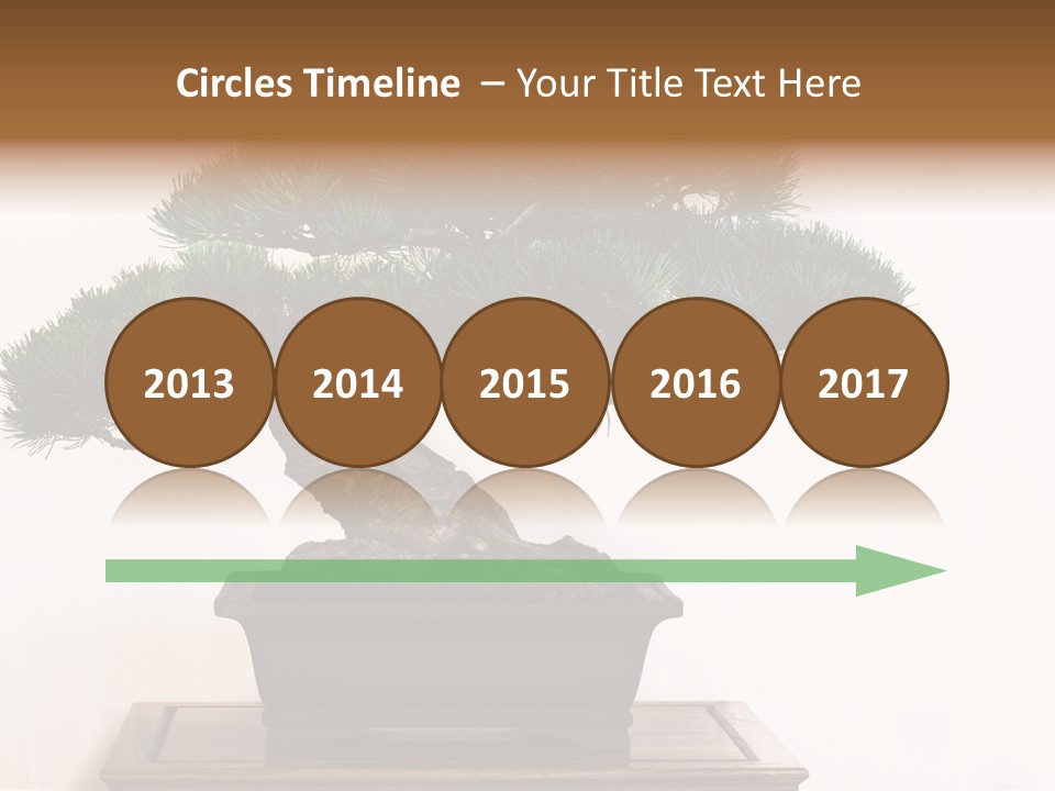 Bonsai Conifer Release PowerPoint Template