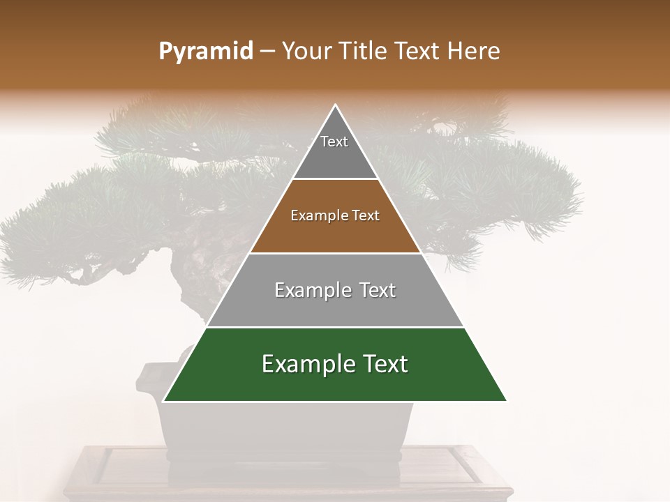 Bonsai Conifer Release PowerPoint Template