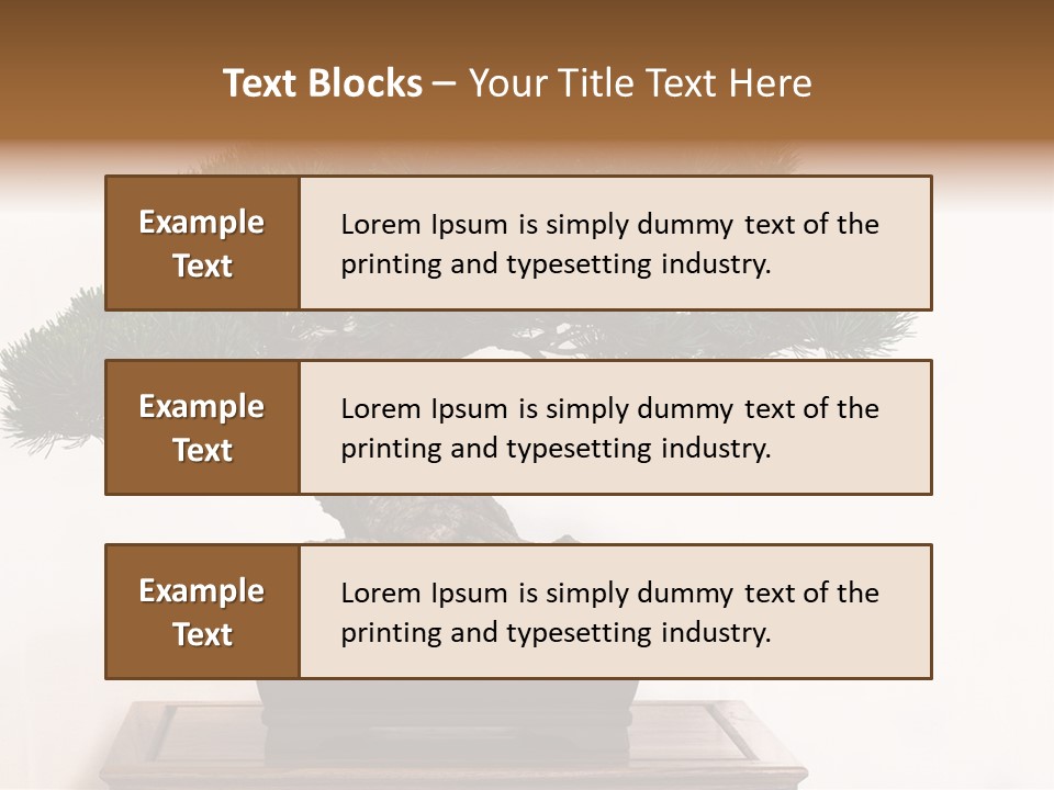 Bonsai Conifer Release PowerPoint Template