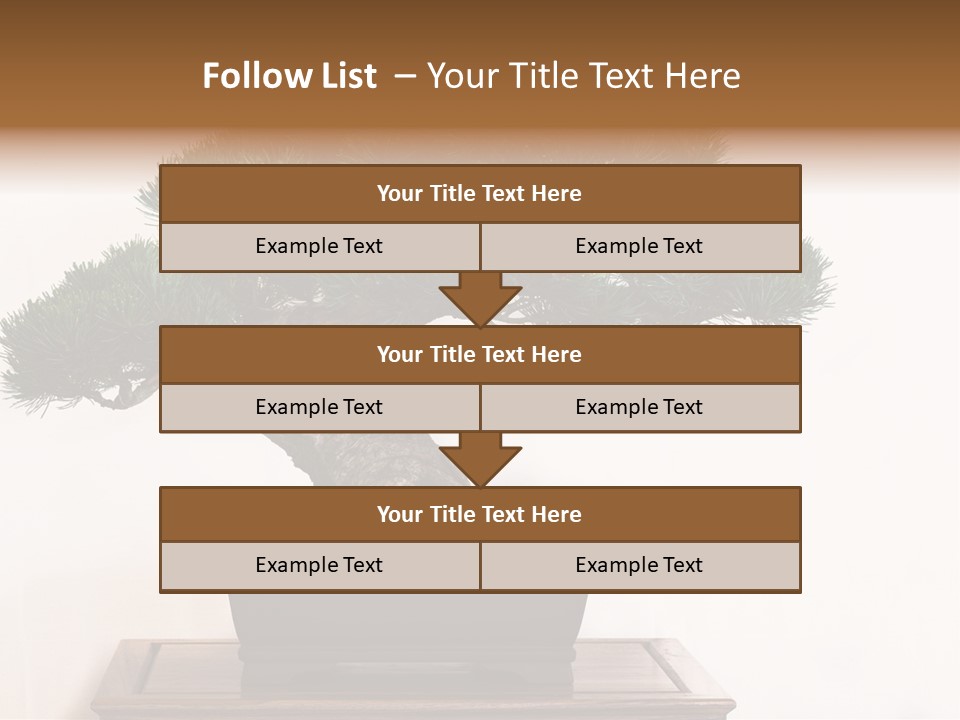 Bonsai Conifer Release PowerPoint Template