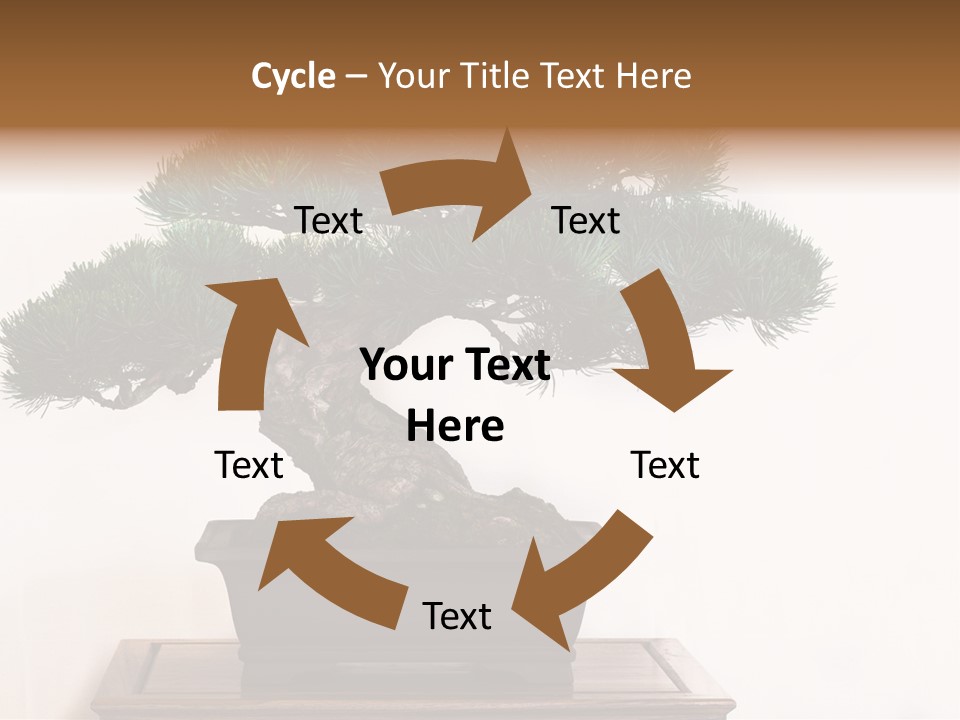 Bonsai Conifer Release PowerPoint Template