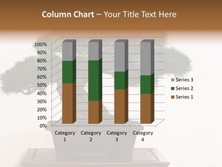 Bonsai Conifer Release PowerPoint Template