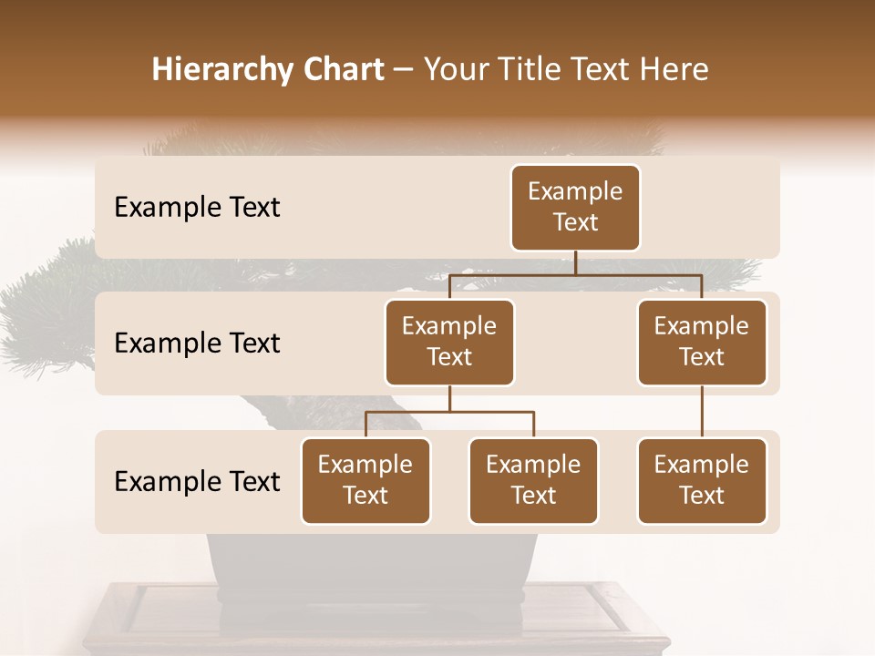 Bonsai Conifer Release PowerPoint Template