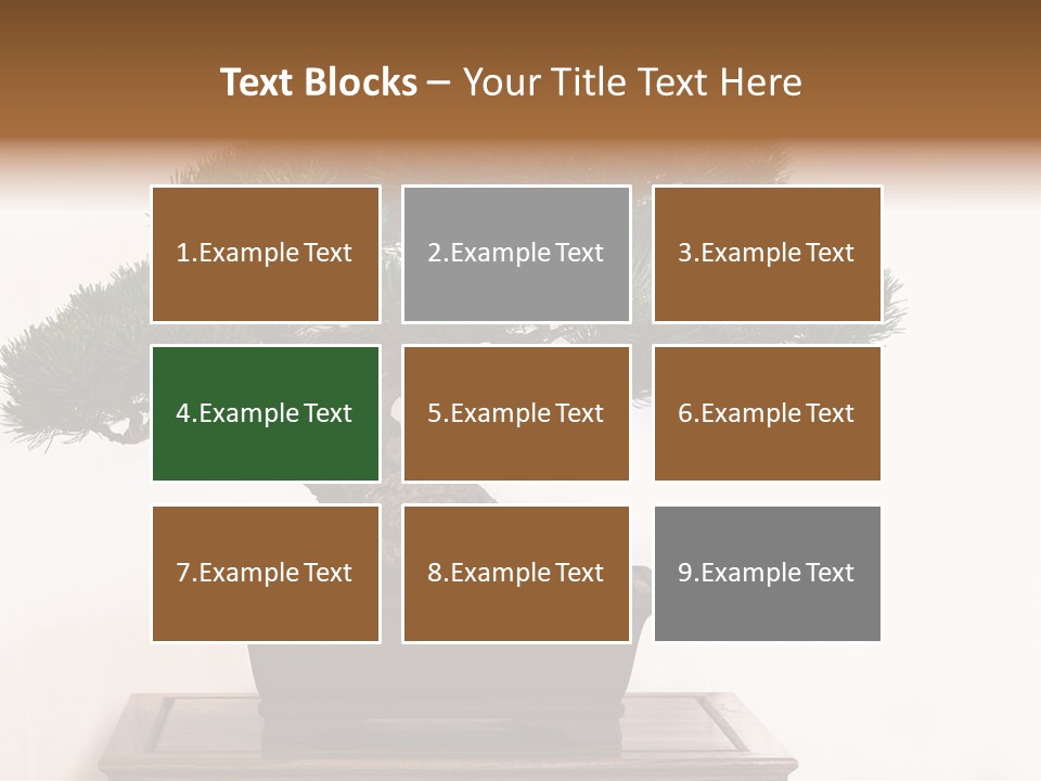 Bonsai Conifer Release PowerPoint Template