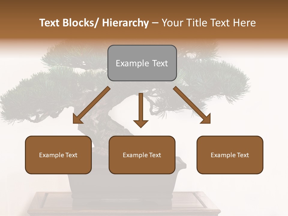 Bonsai Conifer Release PowerPoint Template