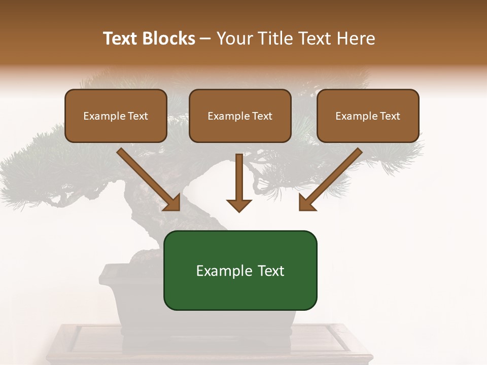 Bonsai Conifer Release PowerPoint Template