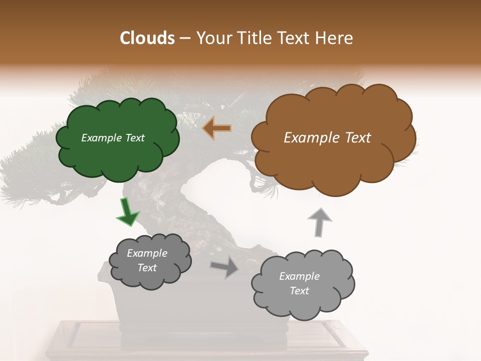 Bonsai Conifer Release PowerPoint Template