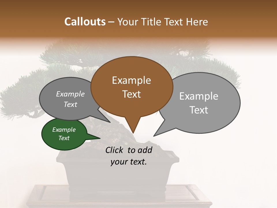 Bonsai Conifer Release PowerPoint Template