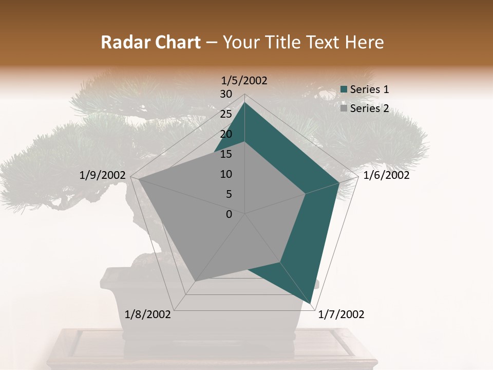 Bonsai Conifer Release PowerPoint Template