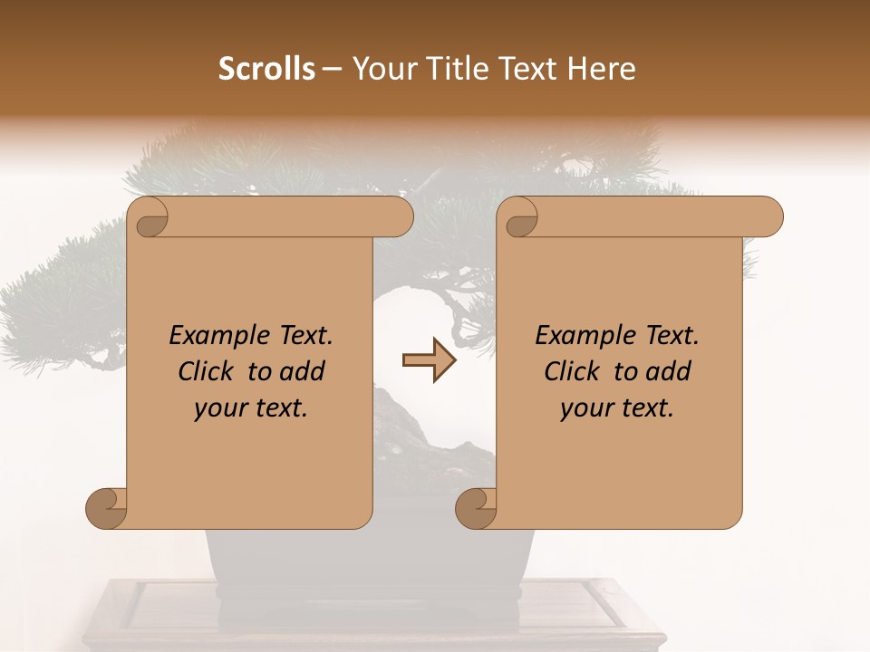 Bonsai Conifer Release PowerPoint Template