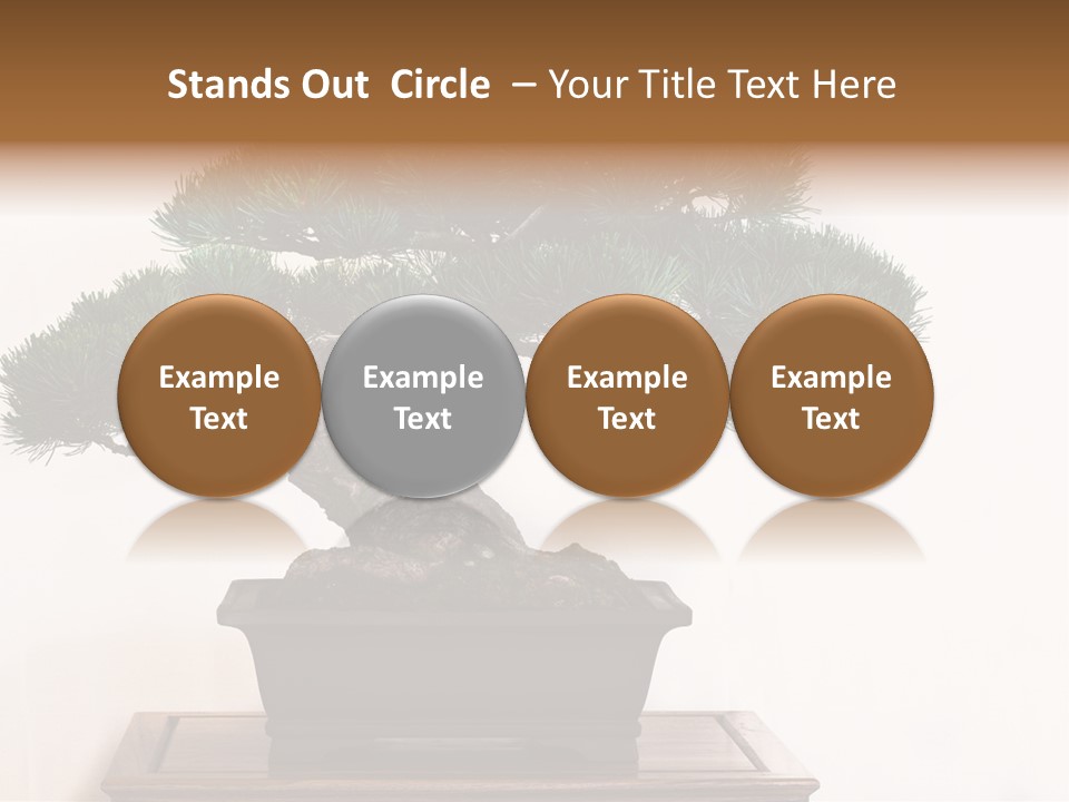 Bonsai Conifer Release PowerPoint Template