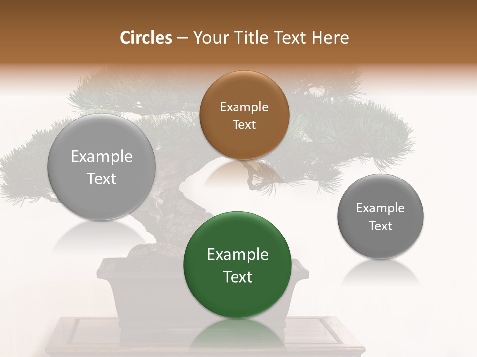 Bonsai Conifer Release PowerPoint Template