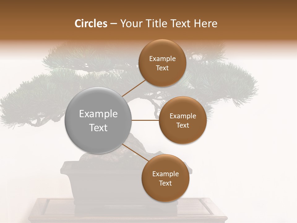 Bonsai Conifer Release PowerPoint Template