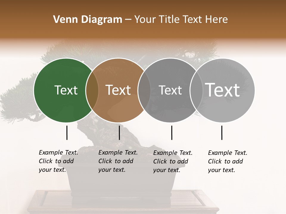 Bonsai Conifer Release PowerPoint Template