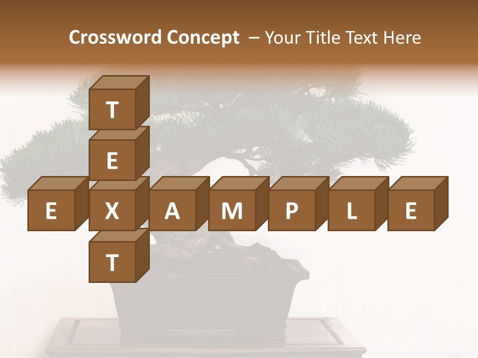 Bonsai Conifer Release PowerPoint Template
