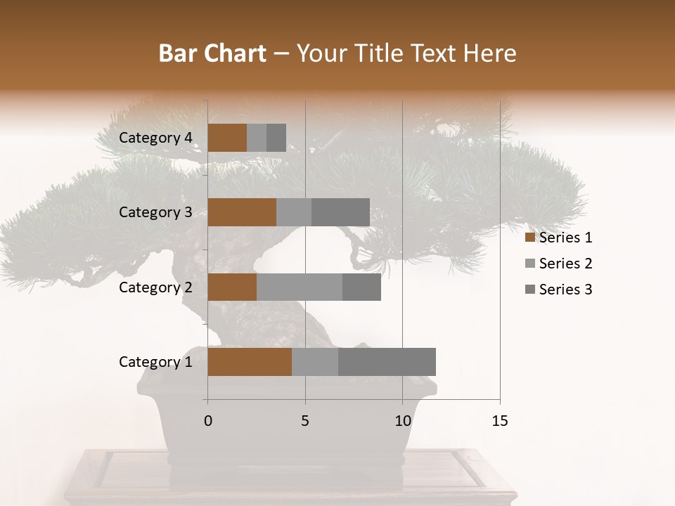 Bonsai Conifer Release PowerPoint Template