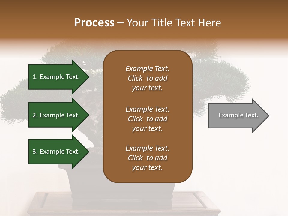 Bonsai Conifer Release PowerPoint Template