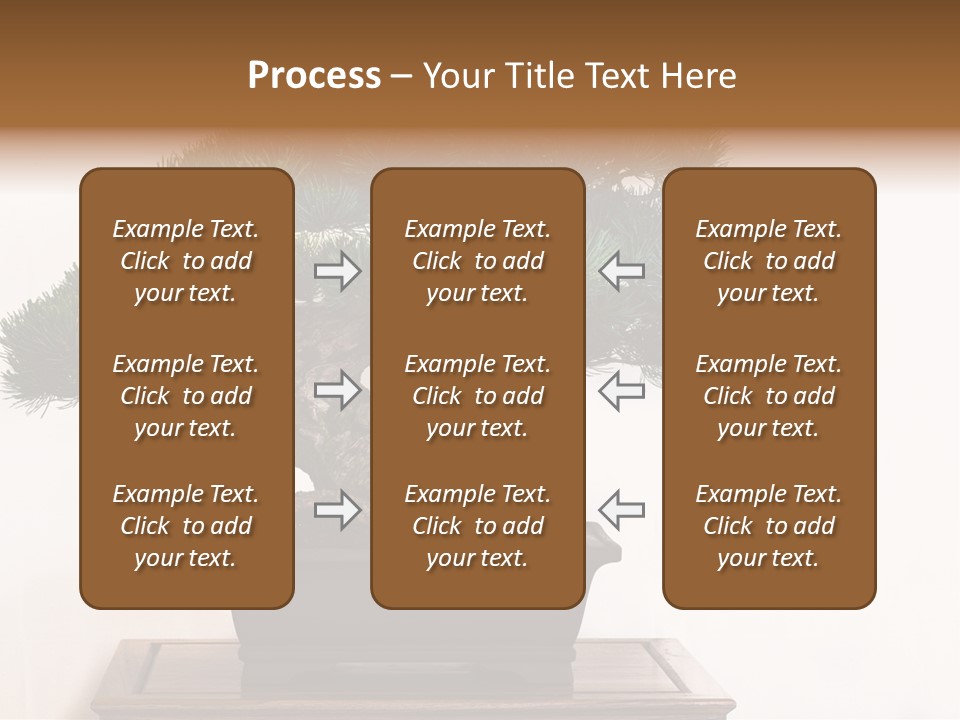 Bonsai Conifer Release PowerPoint Template