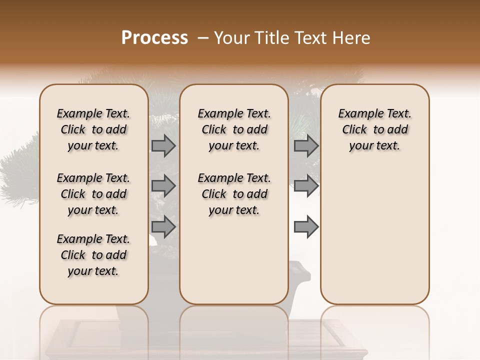 Bonsai Conifer Release PowerPoint Template