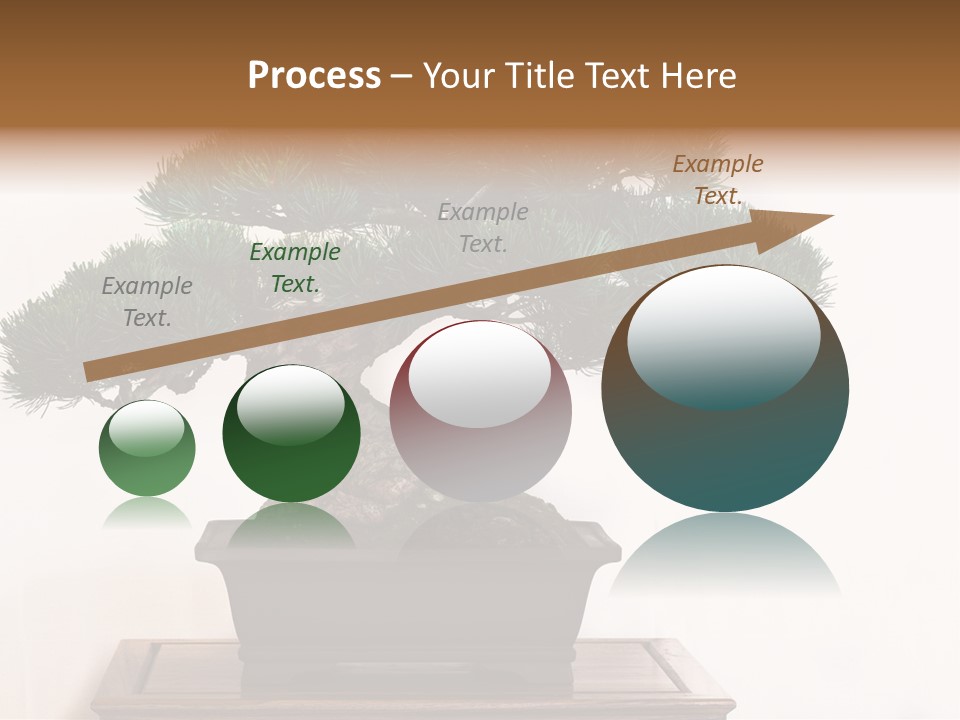 Bonsai Conifer Release PowerPoint Template
