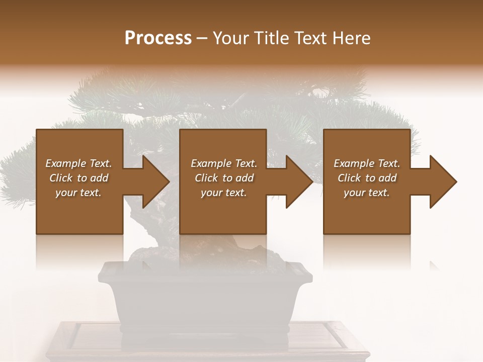 Bonsai Conifer Release PowerPoint Template