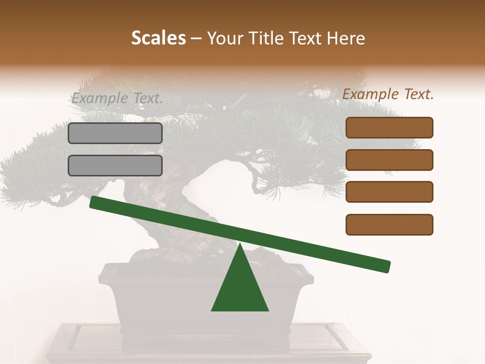 Bonsai Conifer Release PowerPoint Template