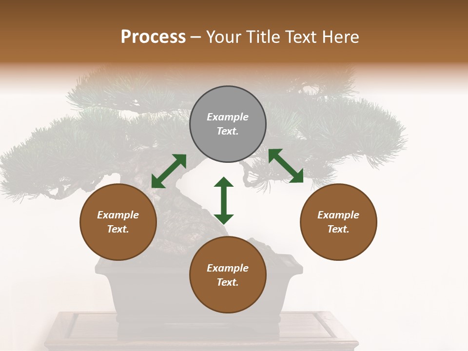 Bonsai Conifer Release PowerPoint Template