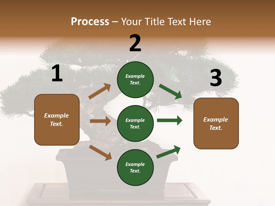 Bonsai Conifer Release PowerPoint Template