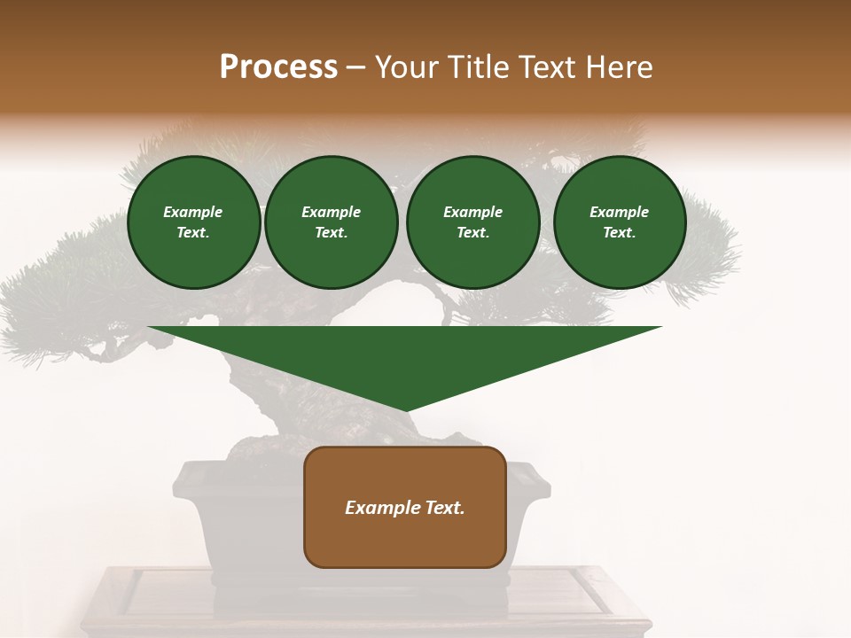 Bonsai Conifer Release PowerPoint Template