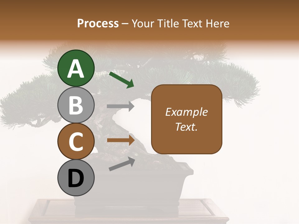 Bonsai Conifer Release PowerPoint Template