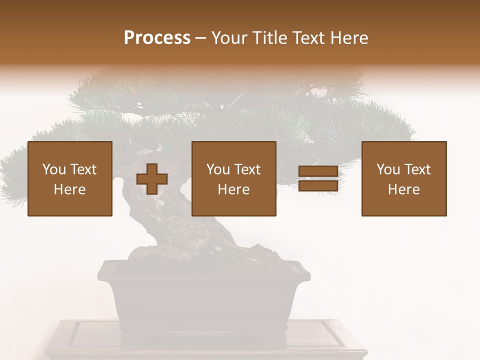 Bonsai Conifer Release PowerPoint Template