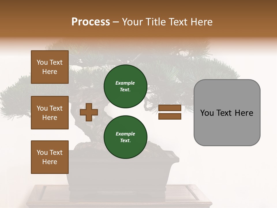 Bonsai Conifer Release PowerPoint Template