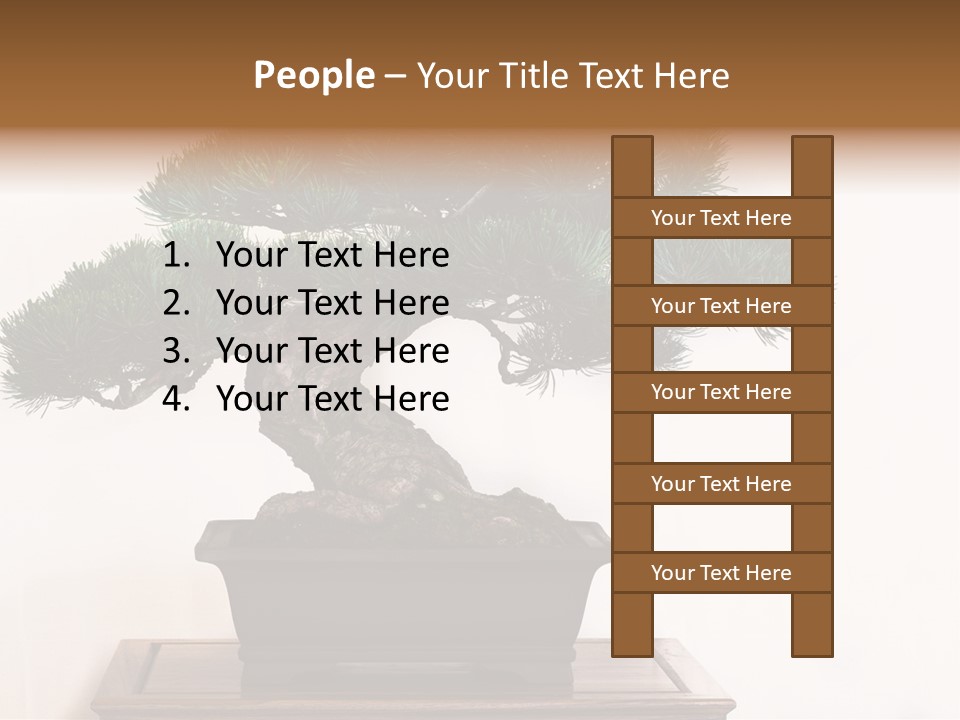 Bonsai Conifer Release PowerPoint Template